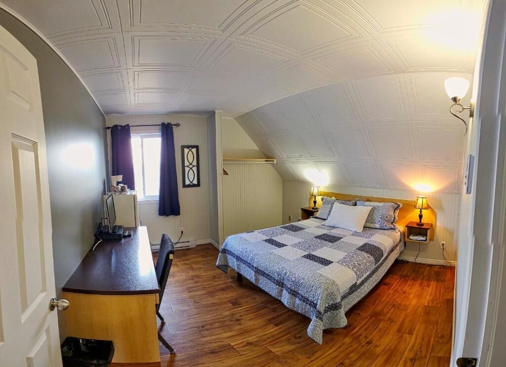 Suite | Wi-fi (inkludert)