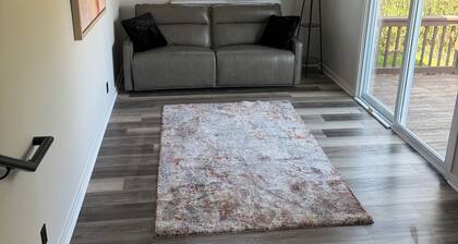 Cozy 3-bedroom house in lovely Rochester with AC and charm