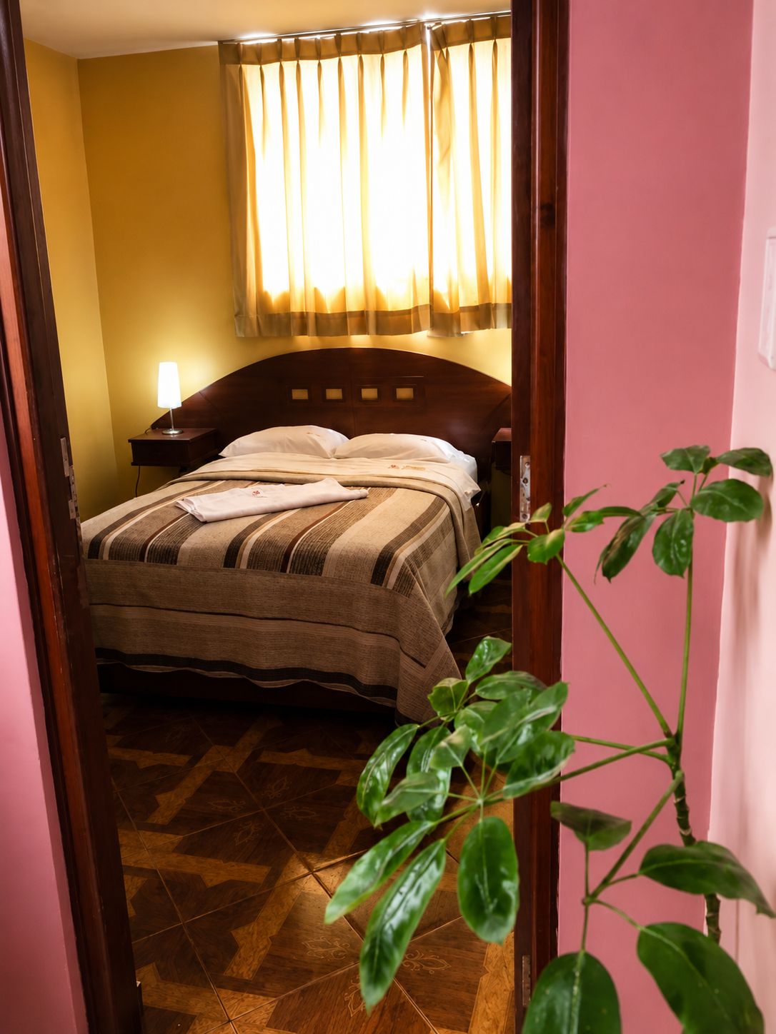 A hotel room with a bed, a nightstand, a lamp, a window with curtains, and a potted plant.