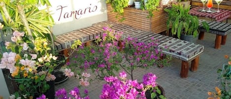 Terraza en la azotea con asientos de madera, plantas en macetas y un letrero que dice 'Tamaris'.