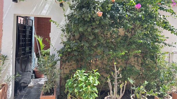 Ein Garten mit Blumentöpfen, einem schwarzen Tor und einer weißen Mauer.