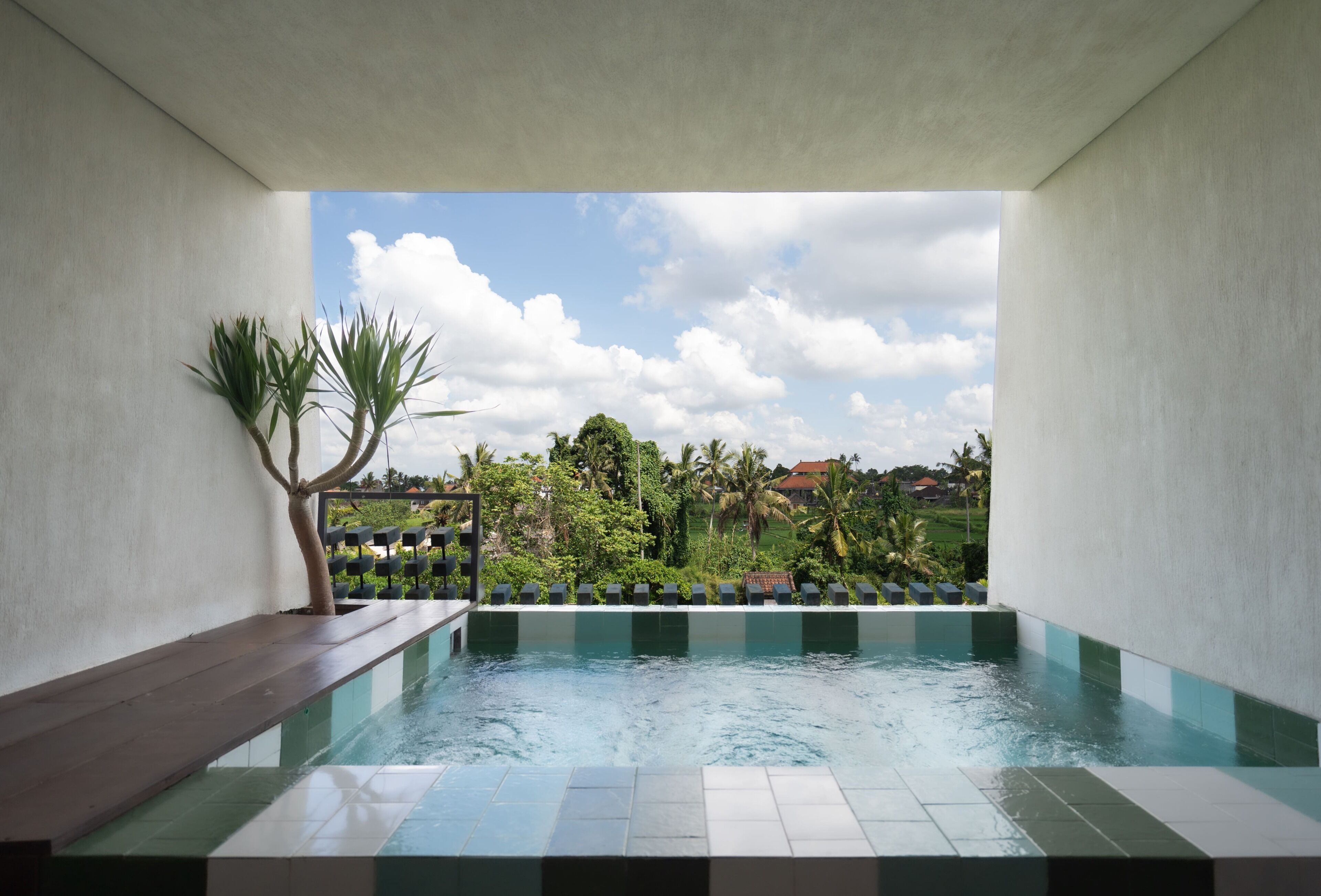 Studio, Pool View | View from room