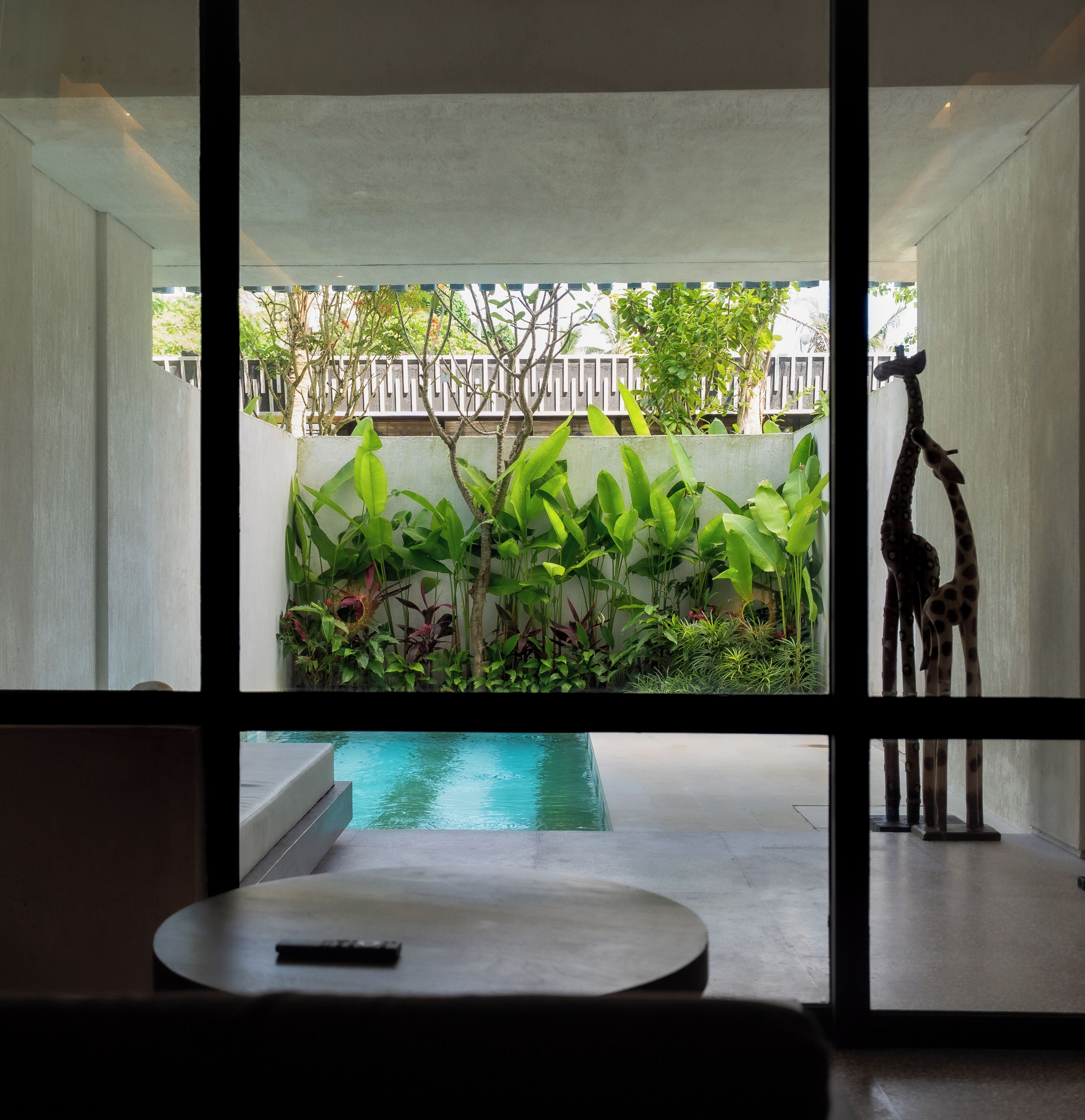 Studio, Garden View | Pemandangan taman