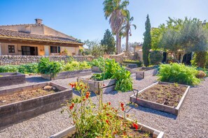 Property grounds - AGROTURISMO MONDRAGO (ANTIC NA MARTINA) - DB CON TERRAZA (Santanyí)
