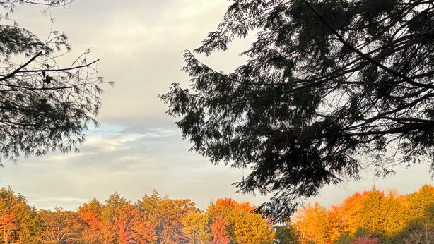 A lakeside view with autumn foliage, a dock, and Adirondack chairs. - Roberts Landing (Parry Sound)