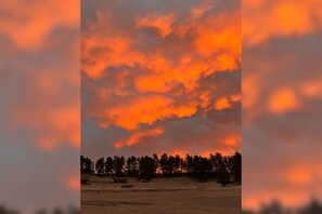 Miscellaneous - Modern Organic Country Home w/ Hot Tub, Pet Friendly, Near USAFA (Colorado Springs)