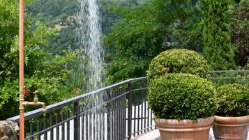 Parco della struttura