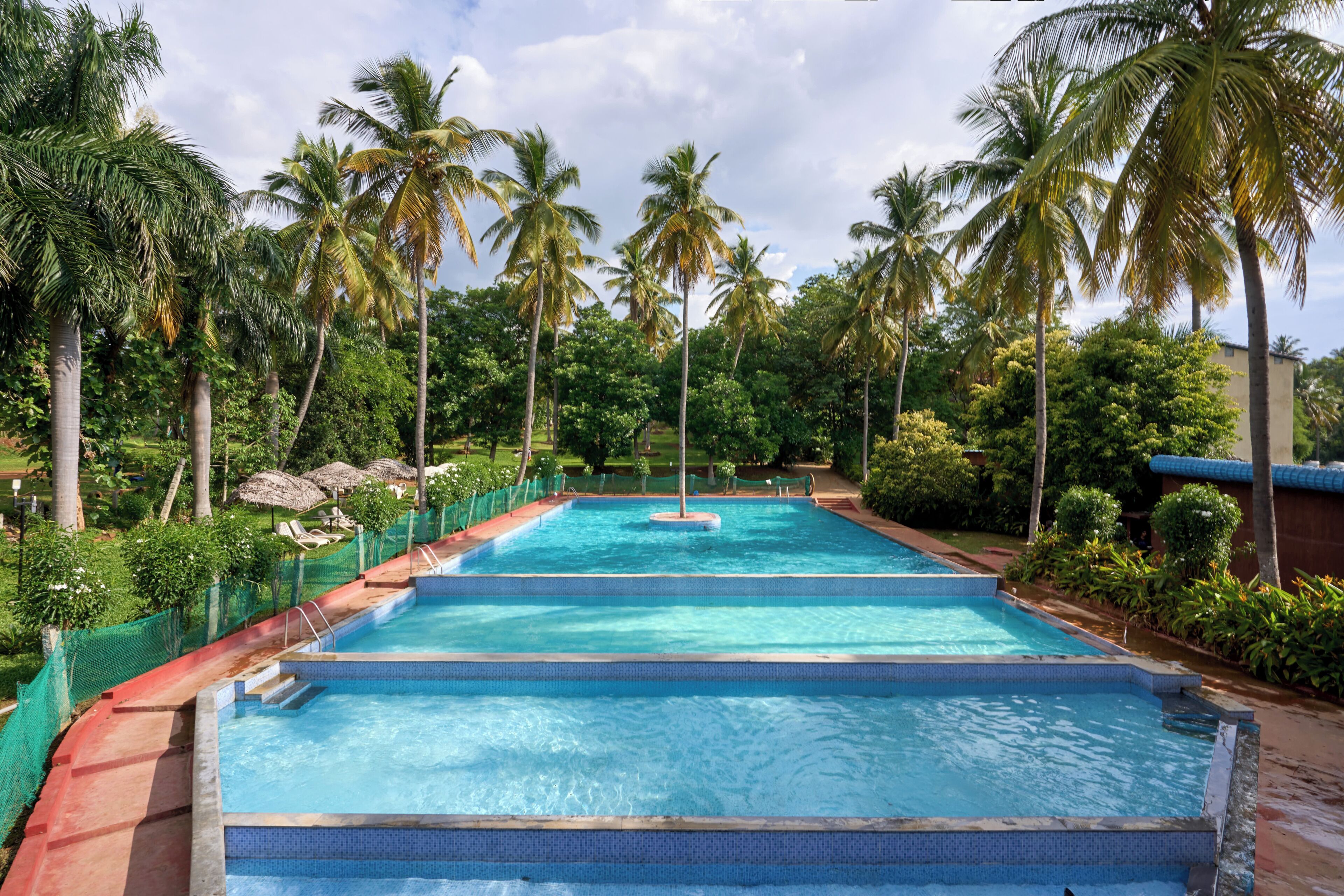 A rectangular pool with clear blue water, surrounded by palm trees and greenery.