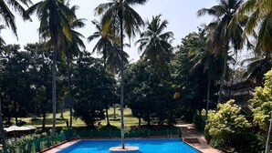 Une piscine rectangulaire avec plusieurs marches menant à l’intérieur, entourée de palmiers et de verdure.