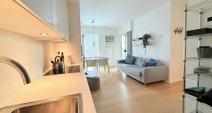 City Apartment in Copenhagen with 1 bedrooms sleeps 2
