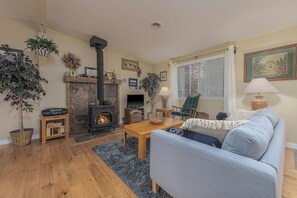 TV, fireplace, DVD player, books