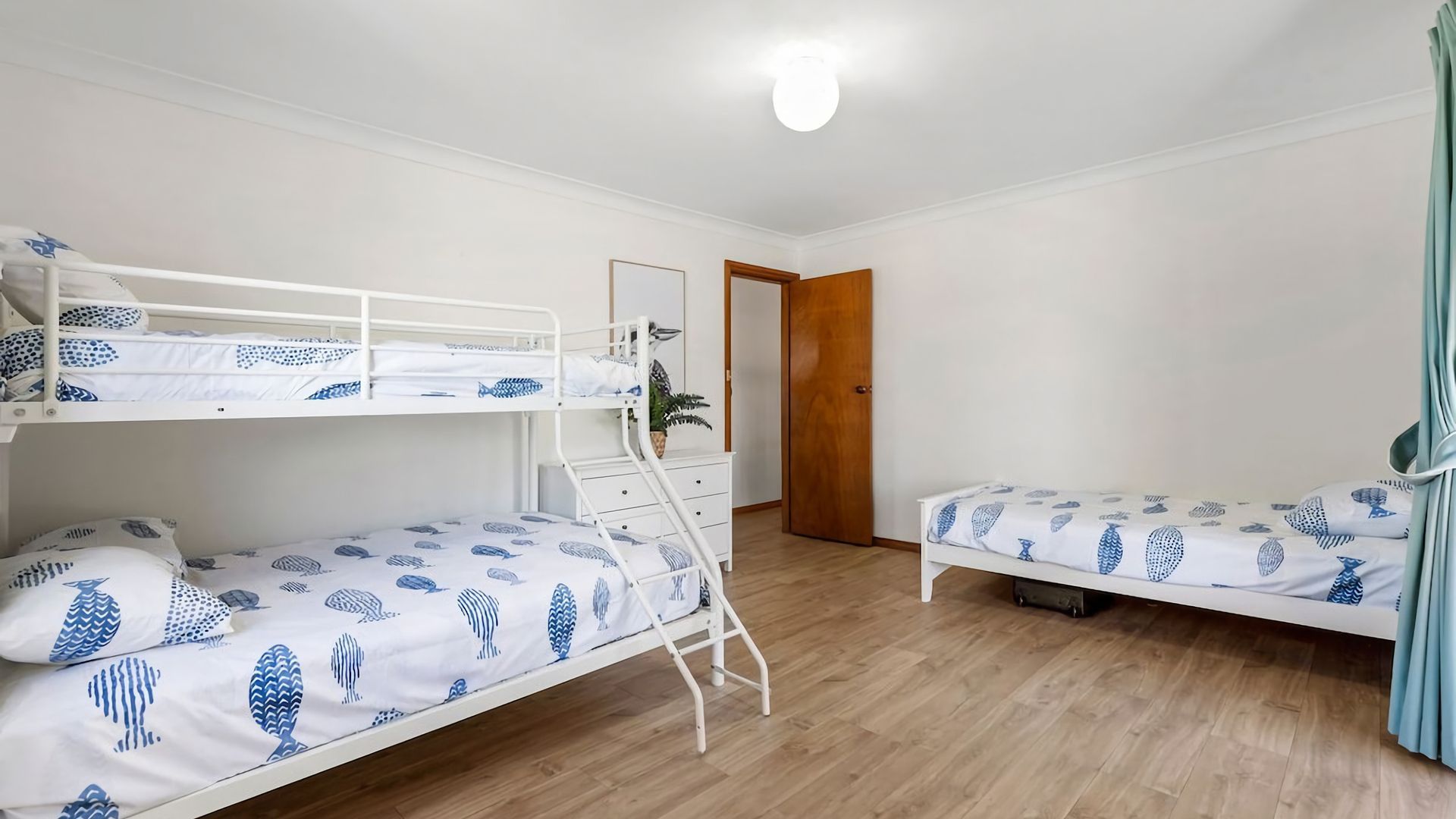 Une pièce avec deux lits superposés, une porte en bois et une petite plante.
