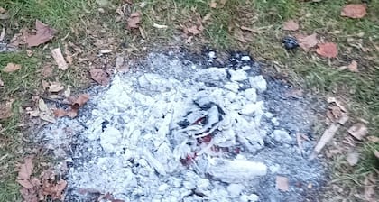 Serene 1-bedroom house in Front Royal perfect for a getaway