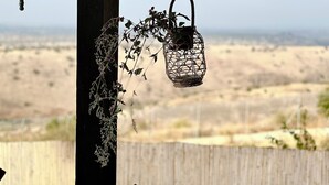 A hanging basket with dried plants and a metal container. - Golan View Villa – Ma’ale Gamla
Villa Overlooking the Golan
Scenic Golan View (Ma'ale Gamla)