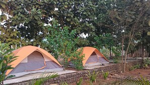 Two tents set up in a natural environment with surrounding vegetation and a stone wall. - Tadmal Retreat N Resort  (Pen)