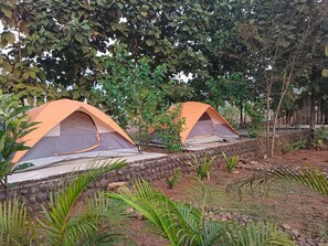 Terrein van de accommodatie