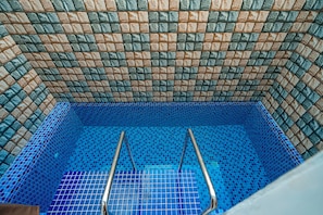 Ein Swimmingpool mit blauen Mosaikfliesen und einer Metallleiter.