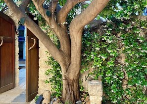 Studio, kitchenette, uitzicht op tuin | Details aan de buitenkant