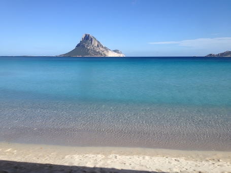 Una spiaggia nelle vicinanze. Bilocale Bouganville a 80 m dalla Spiaggia con Terrazza Privata, Giardino e Aria Condizionata