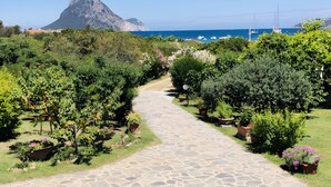 A stone pathway leading through a garden with potted plants and a mountain in the background. - Bouganville Two-Room Apartment 80 m from the Beach with Private Terrace, Garden & AC (Porto Taverna)