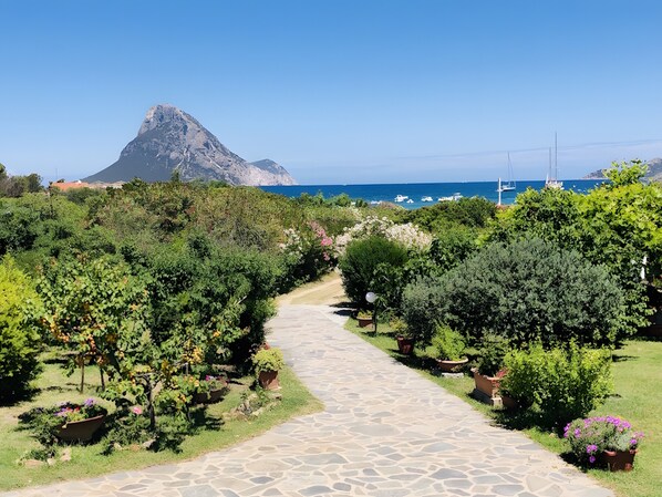 A stone pathway leading through a garden with potted plants and a mountain in the background.