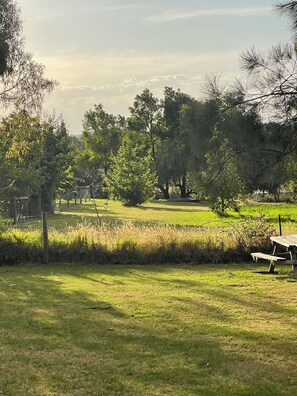 Property grounds - Classic 70's -The Beach House (Merricks Beach)