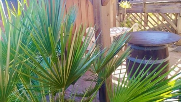 Une structure de pergola en bois, avec un grand tonneau en arrière-plan.