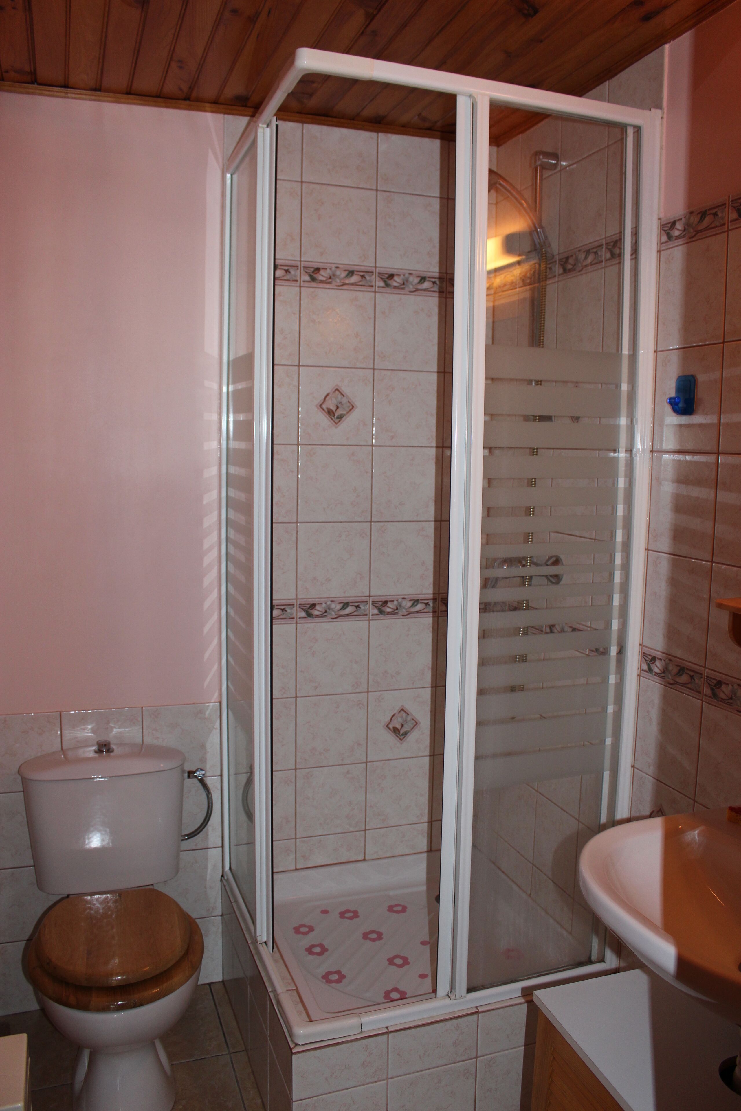 Shower, hair dryer, soap, toilet paper