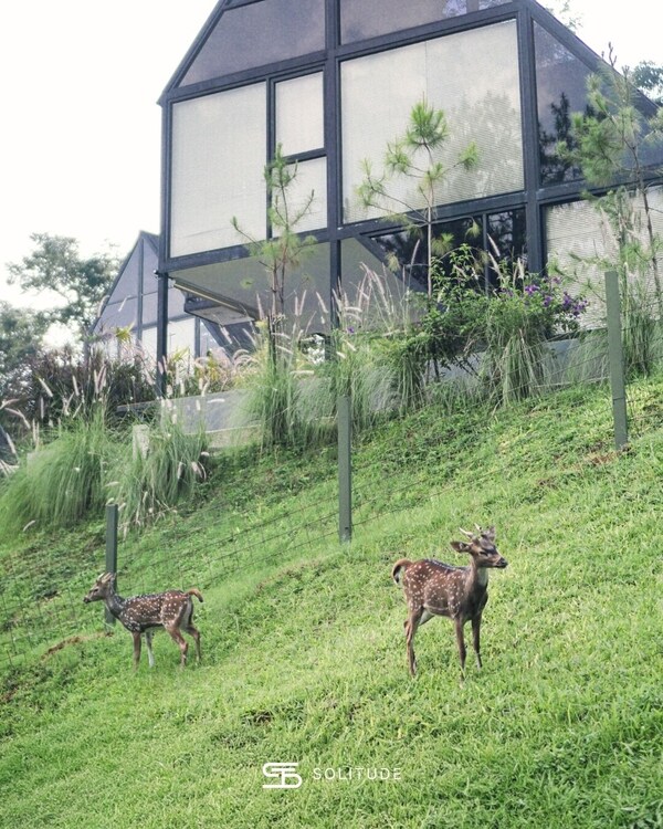 Solitude Villa Tahura - Bandung