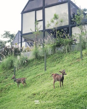 Façade de l’hébergement