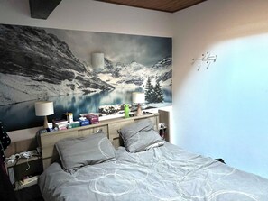 3 bedrooms, travel cot, WiFi - Apartment 70M² for 6 to 8 people, 300m from the village center, hiking and mountain bike trails. (Les Carroz d'Arraches)