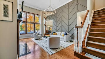 Télévision, cheminée, lecteur de DVD, espaces bureaux