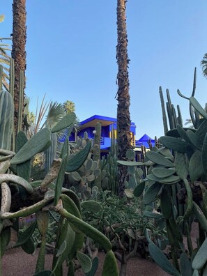 Jardines del alojamiento