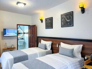 Habitación con 2 camas individuales | Wifi gratis