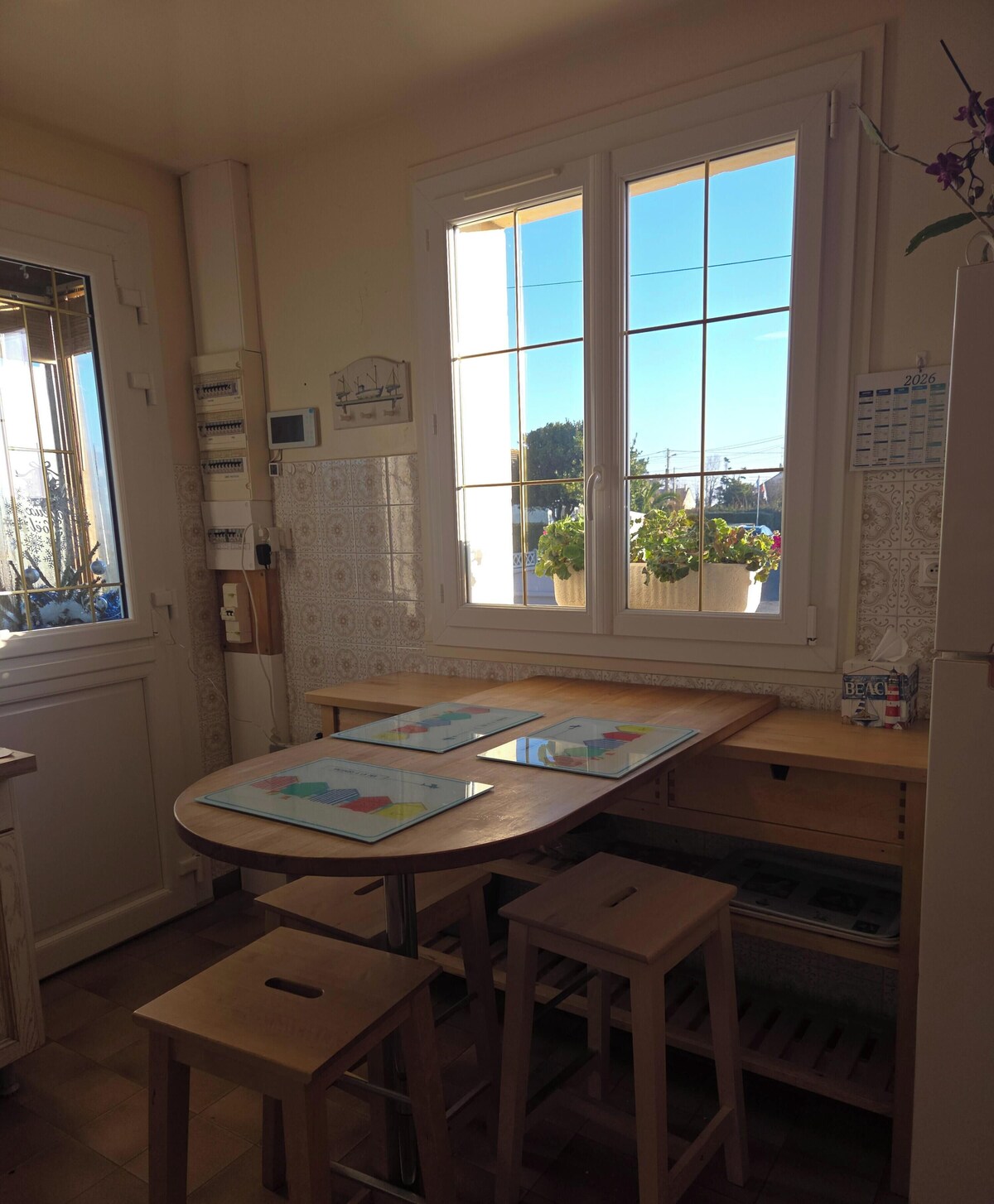 Imagen de perfil del propietario o de la propietaria