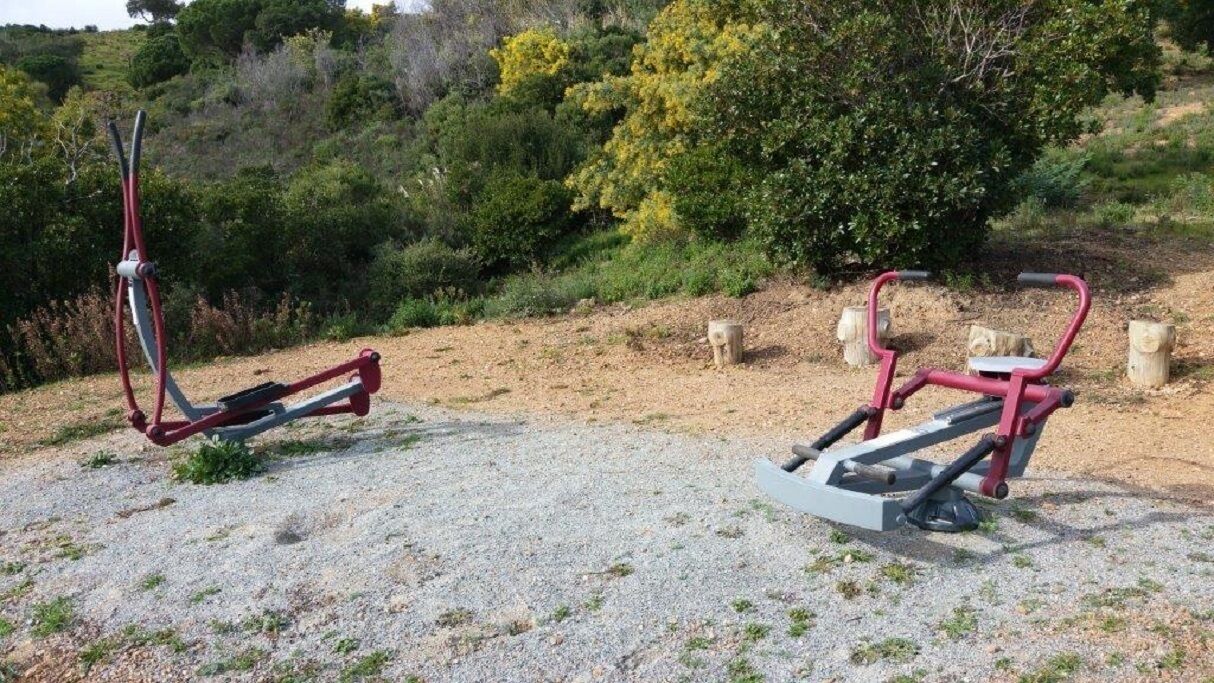 Des appareils de musculation en plein air, installés dans un cadre naturel, avec des arbres et des arbustes en arrière-plan.