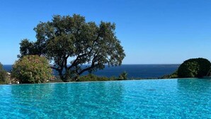 Ein klares, blaues Schwimmbecken mit Baum und Blick auf den Ozean.