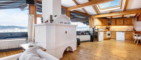 Télévision, cheminée, lecteur de DVD, chaßne hi-fi