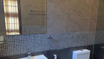 Shower, bidet, towels, toilet paper