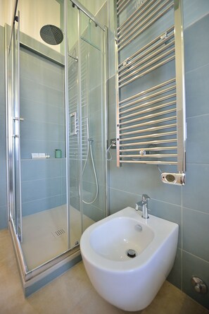 Regadera, secadora de cabello, bidet, toallas 