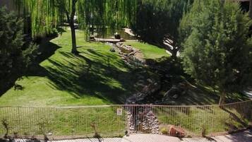 Outdoor pool, pool umbrellas