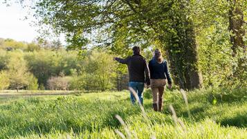 A couple walking in a grassy field with trees in the background.