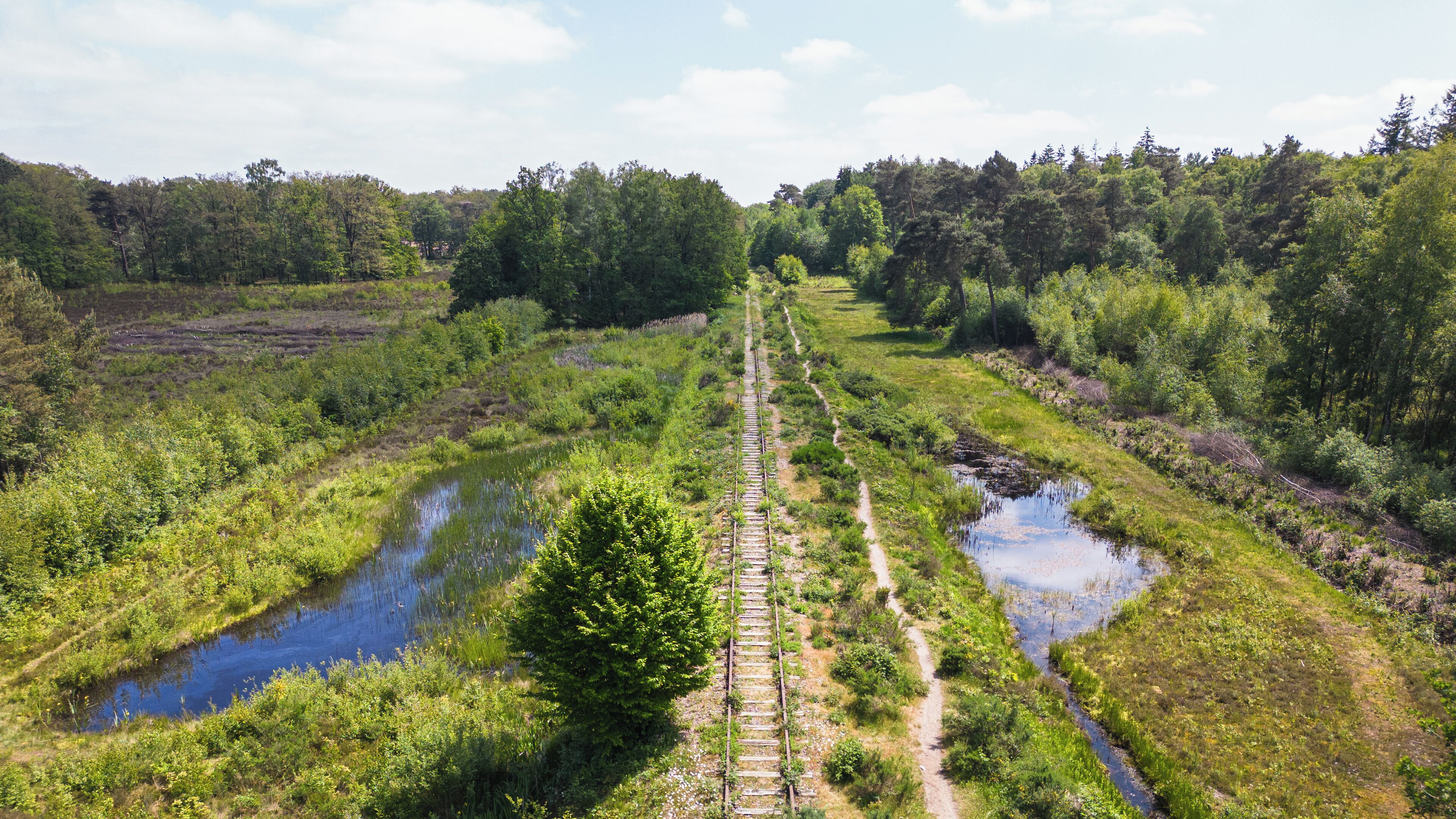 Een spoorlijn die door een weelderig groen landschap loopt, met een vijver aan beide zijden.