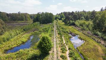 Een spoorlijn die door een weelderig groen landschap loopt, met een vijver aan beide zijden.