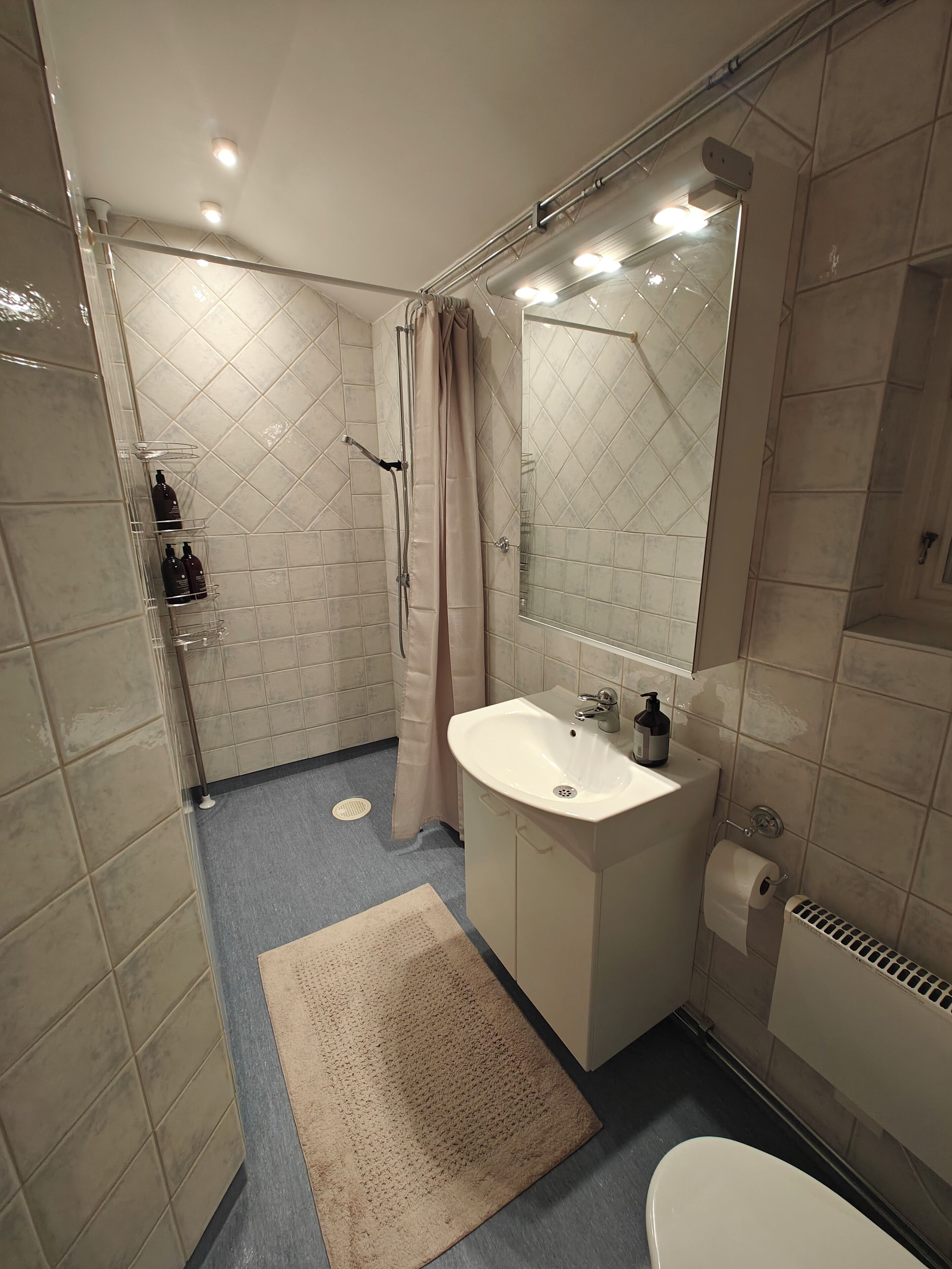 Een haardroger, zeep, shampoo, toiletpapier