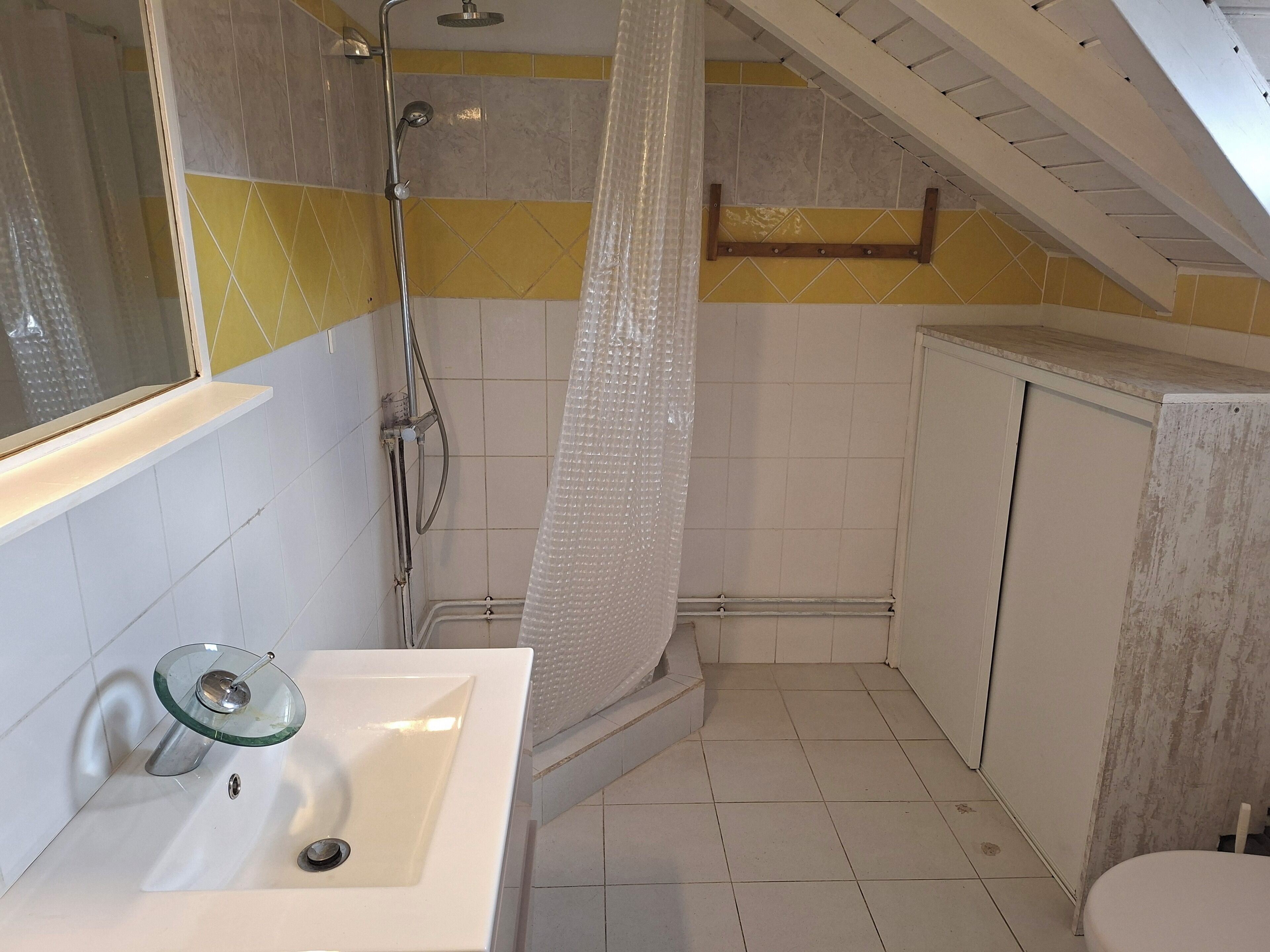 Shower, hair dryer, towels, toilet paper