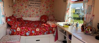Boerencamping Duinzoomhoeve - Pipowagen