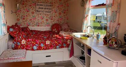 Boerencamping Duinzoomhoeve - Pipowagen