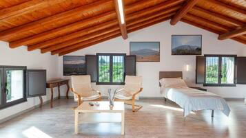 Iron/ironing board, free WiFi, wheelchair access