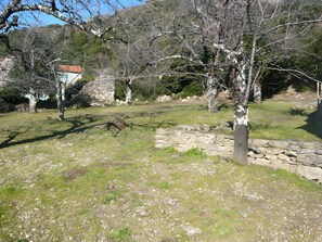 Property grounds - Holiday Home with Mountain View, Private Terrace and Garden (Saint-Martin de l'Arçon)